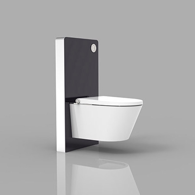 Electric Bidet Seat with black color Cabinet cistern 