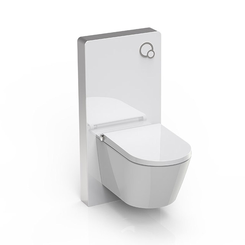 white Cabinet flush cistern bidet seat 