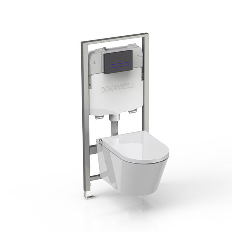 Bidet seat with concealed cistern flushing 