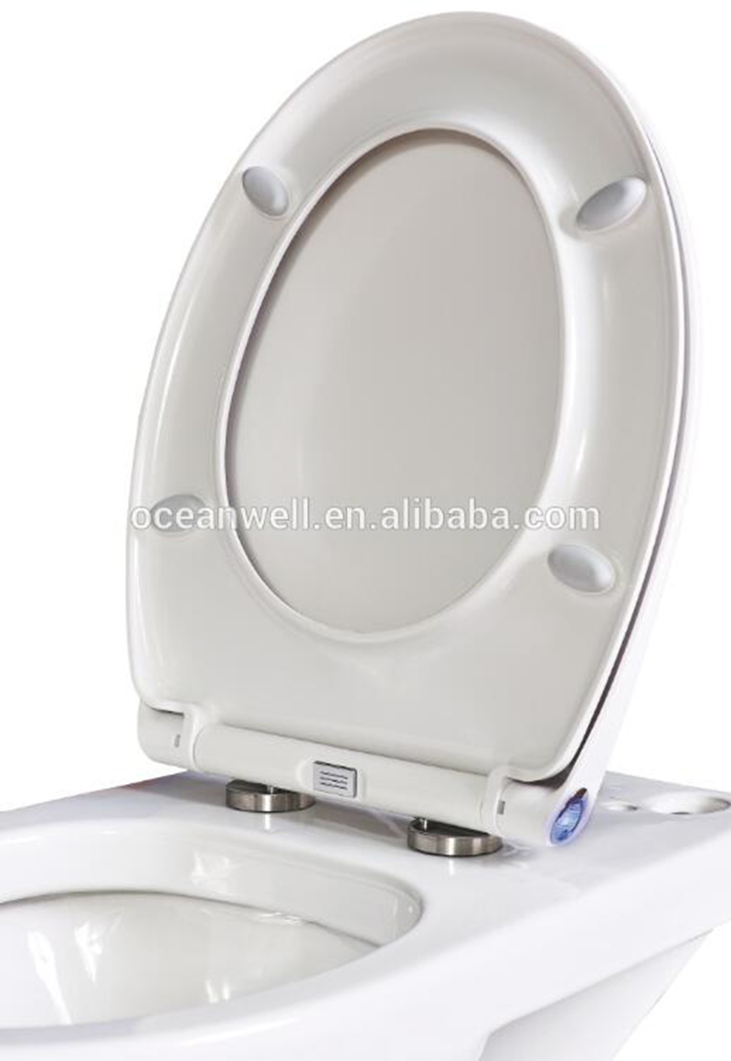 LED light toilet seat