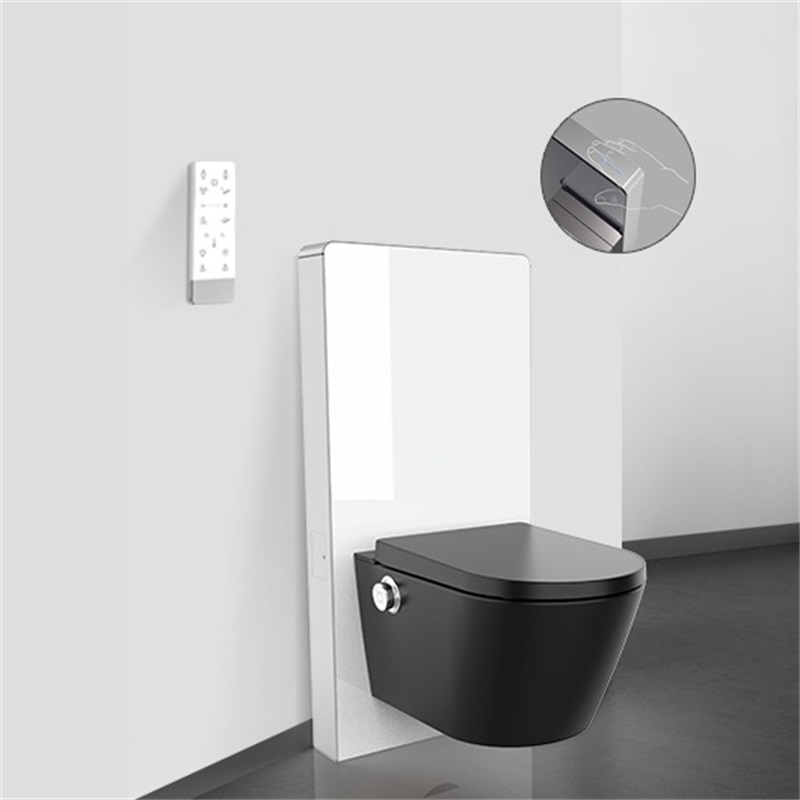 Intelligent Black Ceramic Bidet