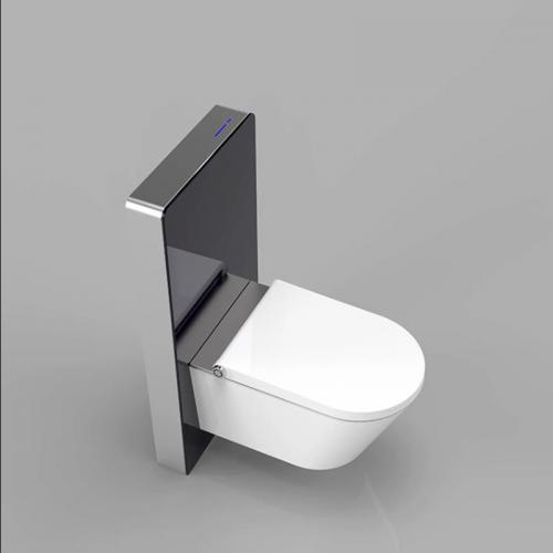 toilet cistern flush system