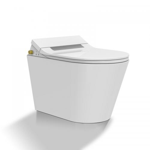 electric bidet seat intelligent function toilet