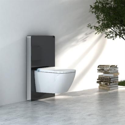 back to wall smart toilet