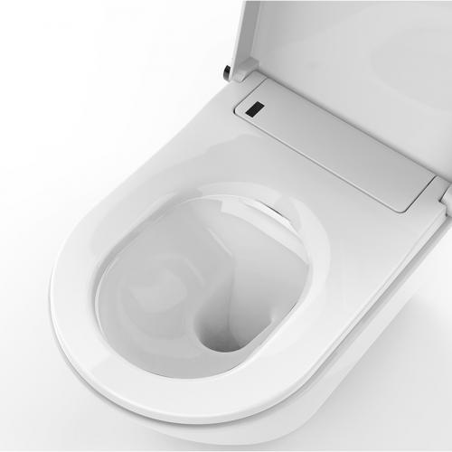 Integrated smart bidet toilet