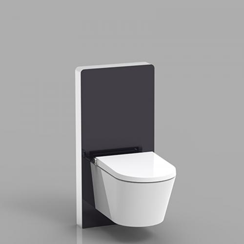 wall hung concealed cistern