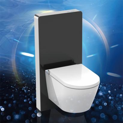 Smart bidet seat douche WC