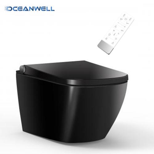 Popular Smart Toilet