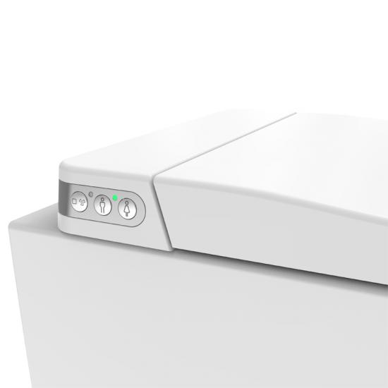 Automatic Smart Toilet