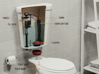 ما تحتاج لمعرفته حول مكونات المرحاض