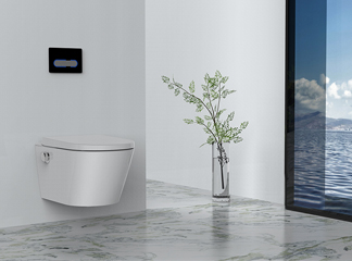 مشهد المراحيض الذكية: رؤى لشركاء الأعمال التجارية - وجهة نظر Oceanwell