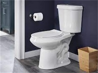 يمكن أن تسبب مقاعد المراحيض العدوى: تعرف على ما يمكن أن تلتقطه في الحمام
    