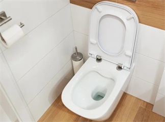 هل مقاعد المراحيض القابلة للإزالة هي سر المراحيض النظيفة حقًا؟